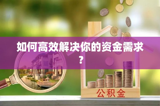 利津如何高效解决你的资金需求？